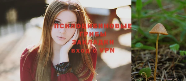 спиды Киреевск