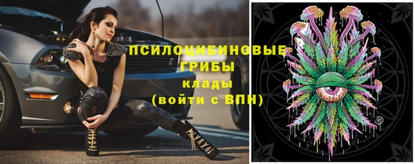 спиды Киреевск